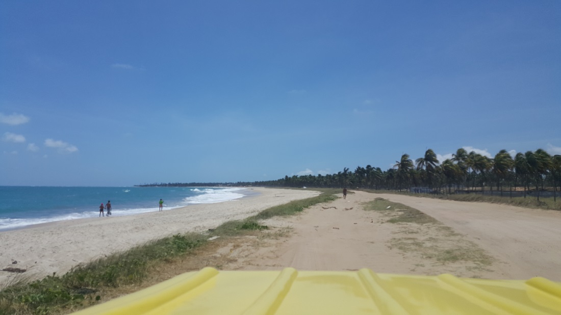 Andando de Buggy por Porto de Galinhas